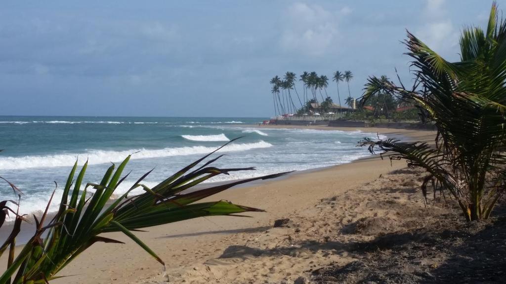Flat Muro Alto Beach Class Ecolife Porto de Galinhas Luaran gambar